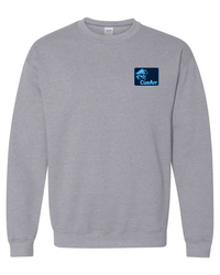 Scan The Unknown Heavy Sweatshirt