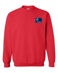 Scan The Unknown Heavy Sweatshirt
