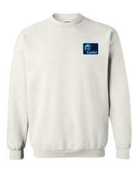 Scan The Unknown Heavy Sweatshirt